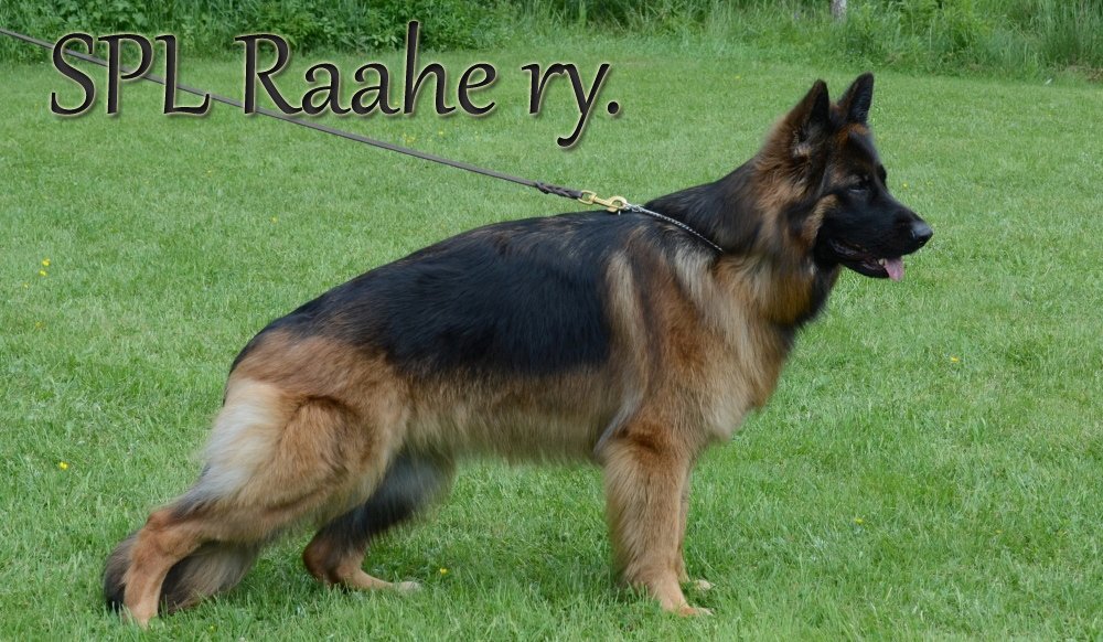 SPL Raahe ry.